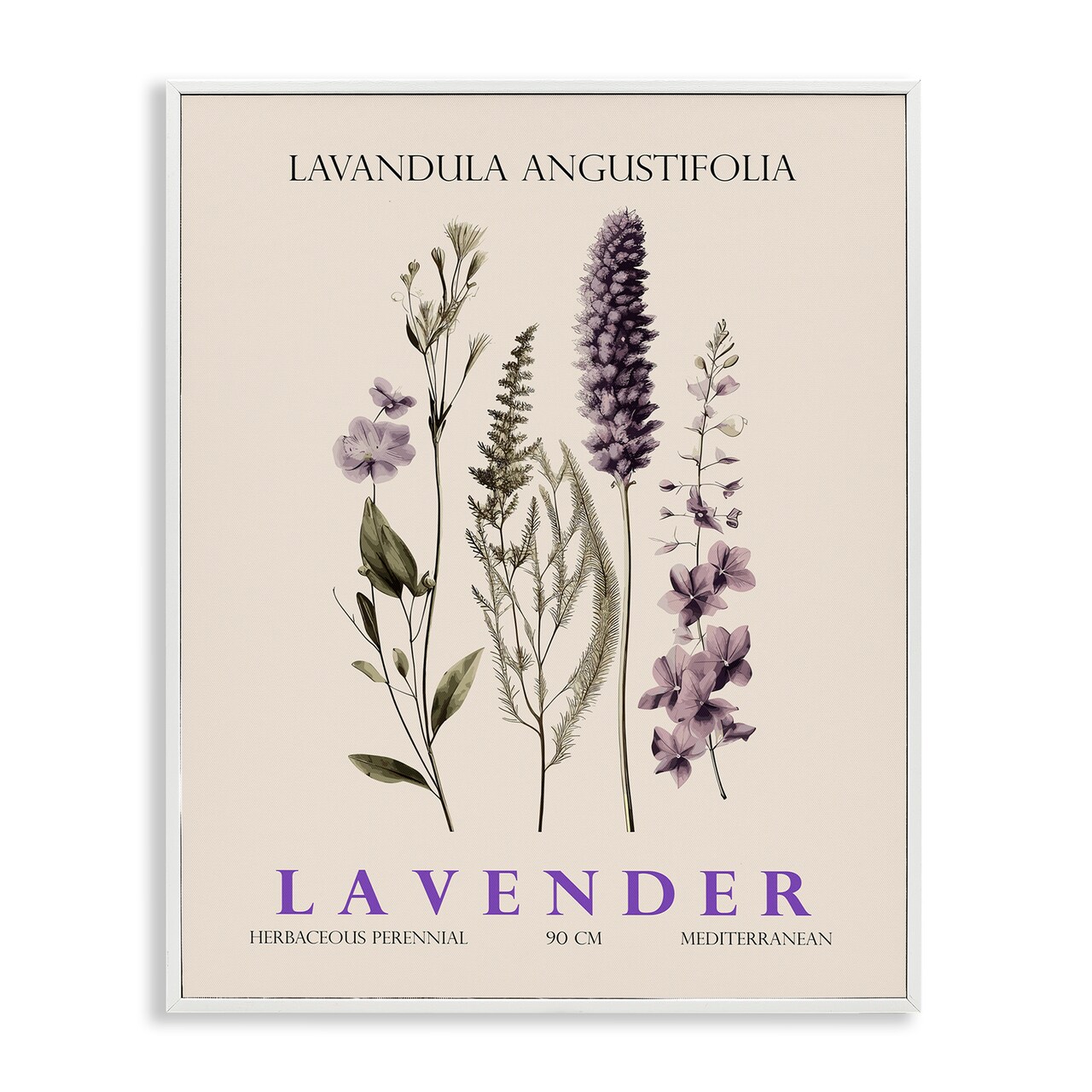 Stupell Industries Natural Lavender Bundle Framed Giclee, design by Christopher Giampietro